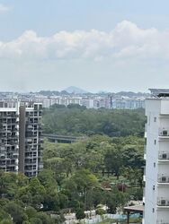 Blk 515C The Premiere @ Tampines (Tampines), HDB 5 Rooms #534466391